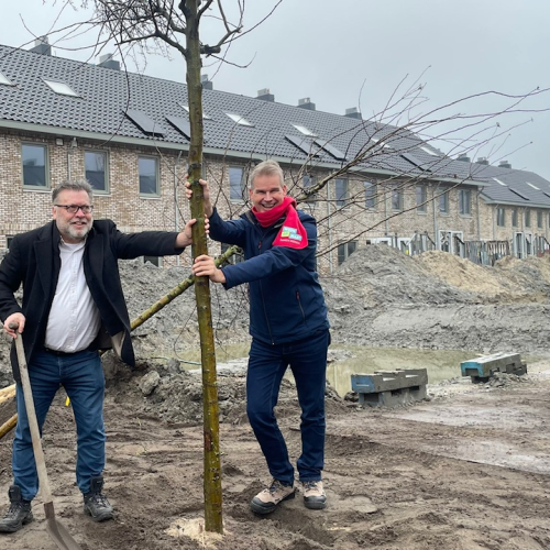 Meidoorns de geelvinck