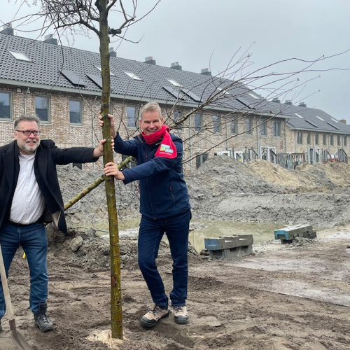 Meidoorns de geelvinck