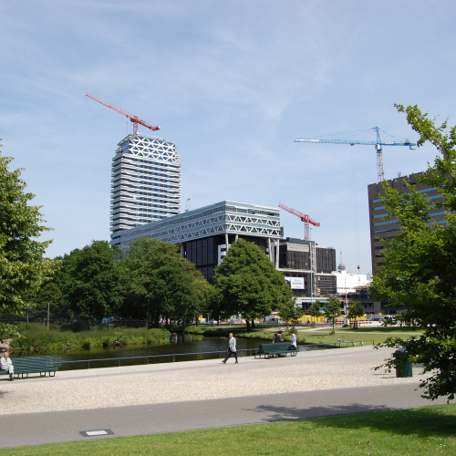 DSC_7461.JPG