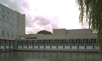 IMG0008.jpg