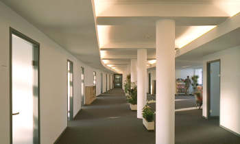 IMG0012.jpg