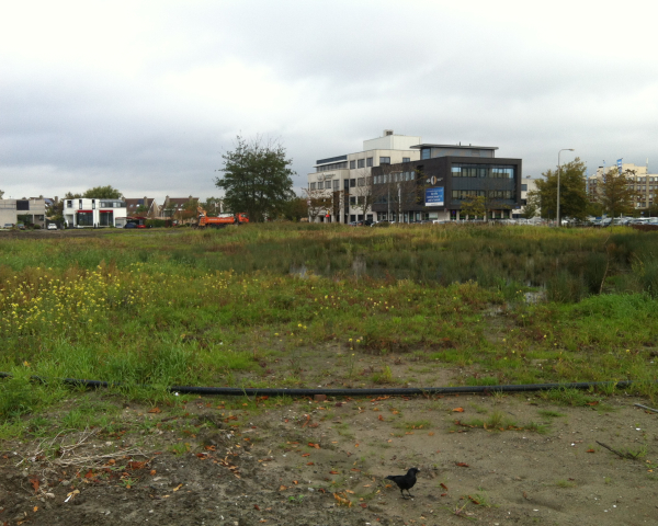 foto 1.JPG